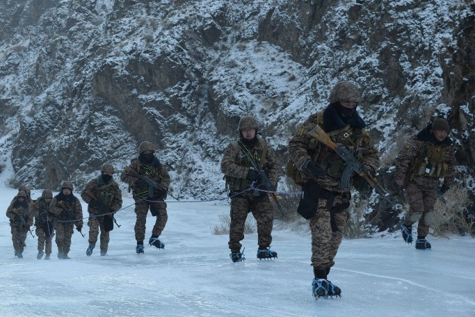 Монгол Улсын зэвсэгт хүчин