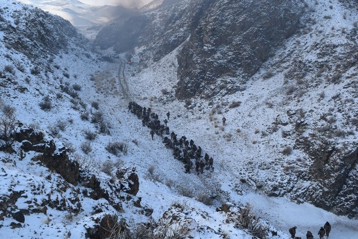 Монгол Улсын зэвсэгт хүчин