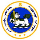 Дотоодын цэрэг