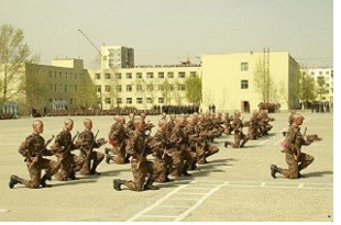 Монгол Улсын зэвсэгт хүчин