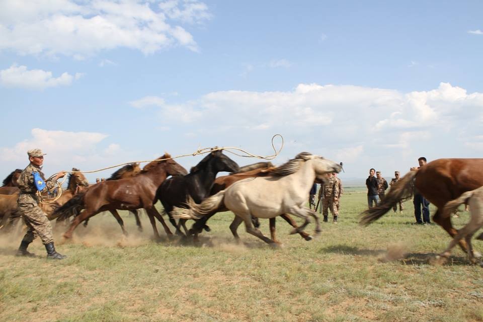 Монгол Улсын зэвсэгт хүчин